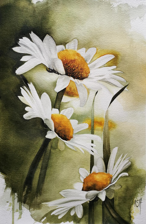 Daisys (50x35)