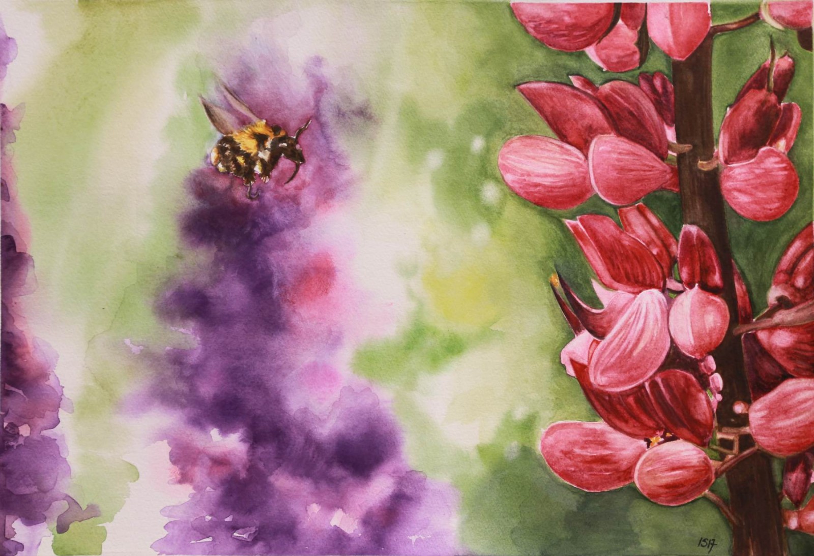 Il fiore e l'ape (40x55)