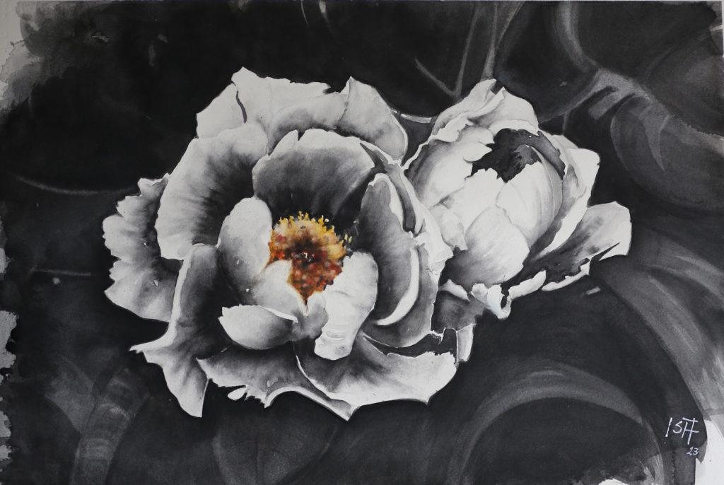 Peonie (40x60)